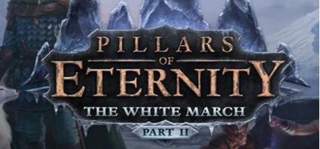 Pillars of Eternity - The White March Part II DLC EU Steam CD Key