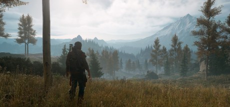 Days Gone PC Steam CD Key