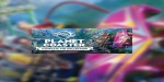 Planet Coaster: Complete the Collection Bundle Steam CD Key