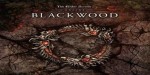The Elder Scrolls Online Collection: Blackwood Collector's Edition Digital Download CD Key