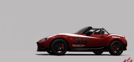 Assetto Corsa - 8 DLC Pack Steam CD Key