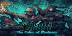 Darkest Dungeon - The Color Of Madness DLC EU Steam CD Key