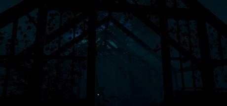 Labyrinthine PC Steam CD Key