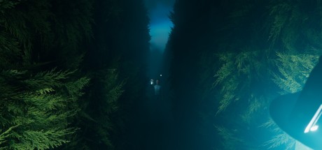 Labyrinthine PC Steam CD Key