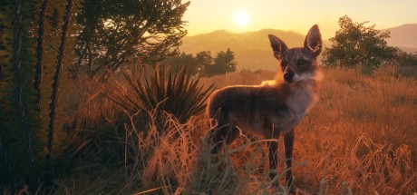 theHunter: Call of the Wild - Rancho del Arroyo DLC PC Steam CD Key