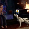 The Sims 3 - Pets Expansion Pack EA App CD Key
