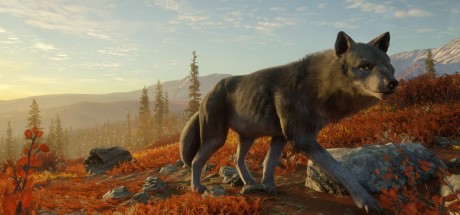 theHunter: Call of the Wild - Yukon Valley DLC PC Steam CD Key