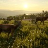 theHunter: Call of the Wild - Cuatro Colinas Game Reserve DLC PC Steam CD Key