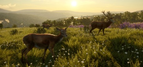 theHunter: Call of the Wild - Cuatro Colinas Game Reserve DLC PC Steam CD Key