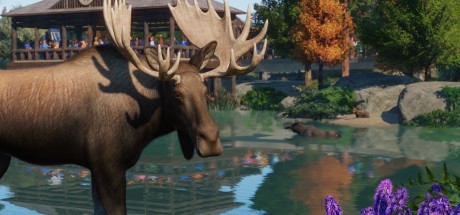 Planet Zoo - North America Animal Pack DLC Steam CD Key