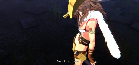 Onee Chanbara ORIGIN Digital Deluxe Edition Steam CD Key