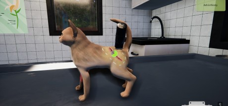 Animal Shelter - Puppies & Kittens DLC EN Language Only PC Steam CD Key