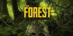 The Forest EU PC Steam CD Key