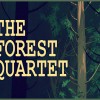 The Forest Quartet Steam CD Key