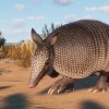 Planet Zoo - Grasslands Animal Pack DLC EU Steam CD Key