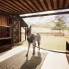 Animal Shelter - Horse Shelter DLC PC Steam CD Key