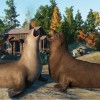 Planet Zoo - North America Animal Pack DLC EU Steam CD Key