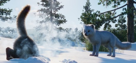 Planet Zoo - North America Animal Pack DLC EU Steam CD Key