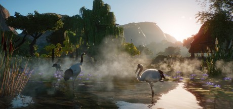 Planet Zoo - Wetlands Animal Pack DLC EU Steam CD Key
