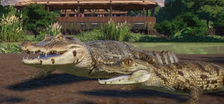 Planet Zoo - Wetlands Animal Pack DLC EU Steam CD Key