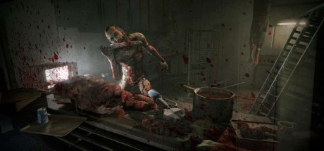 Outlast - Whistleblower DLC EU PC Steam CD Key