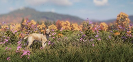 theHunter: Call of the Wild - Labrador Retriever DLC Steam CD Key theHunter: Call of the Wild - Labrador Retriever DLC Steam CD Key