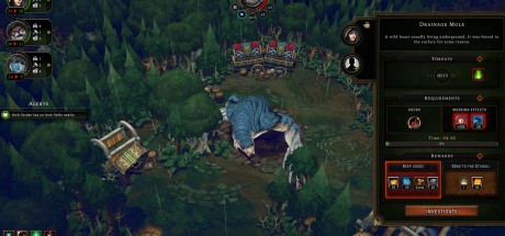 Against the Storm DE Steam CD Key