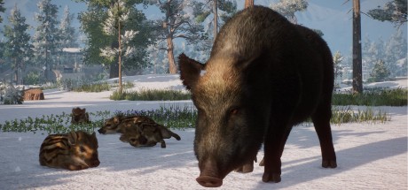 Planet Zoo - Eurasia Animal Pack DLC Steam CD Key