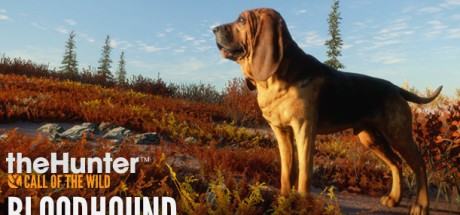 theHunter: Call of the Wild - Bloodhound DLC EU XBOX One / Xbox Series X|S CD Key