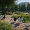 Planet Zoo - Barnyard Animal Pack DLC PC Steam CD Key