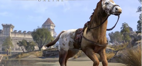 The Elder Scrolls Online - Sungold Bay Thoroughbred Mount DLC PC Digital Download CD Key The Elder Scrolls Online - Sungold Bay Thoroughbred Mount DLC PC Digital Download CD Key