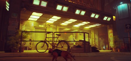 Stray US PC Steam CD Key