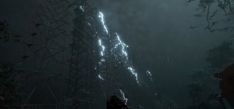 S.T.A.L.K.E.R. 2: Heart of Chornobyl EU PC Steam CD Key