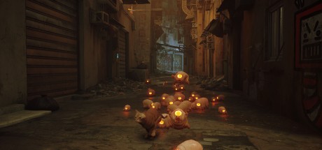 Stray US XBOX One / Xbox Series X|S CD Key