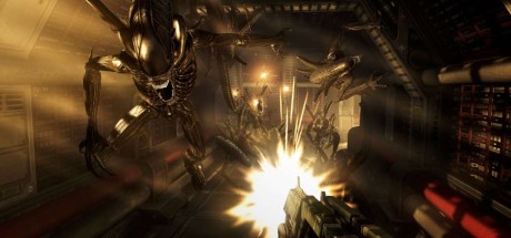 Aliens Vs. Predator EU PC Steam CD Key