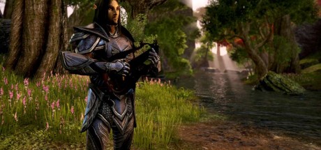 The Elder Scrolls Online -  Explorer's Pack DLC XBOX One / Xbox Series X|S CD Key