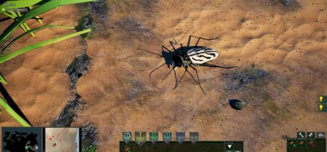 Empires of the Undergrowth EU PC Steam CD Key