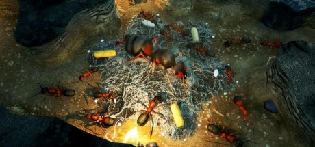 Empires of the Undergrowth EU PC Steam CD Key