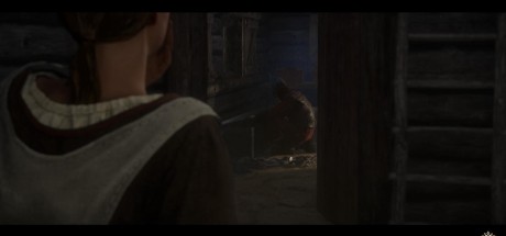 Kingdom Come: Deliverance - A Woman's Lot DLC EU PC Steam CD Key