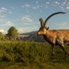 theHunter: Call of the Wild - Cuatro Colinas Game Reserve DLC EU PC Steam CD Key