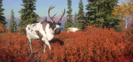 theHunter: Call of the Wild - Yukon Valley DLC EU PC Steam CD Key