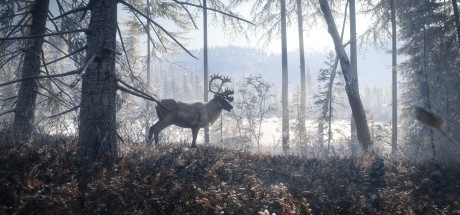 theHunter: Call of the Wild - Medved-Taiga DLC EU PC Steam CD Key theHunter: Call of the Wild - Medved-Taiga DLC EU PC Steam CD Key