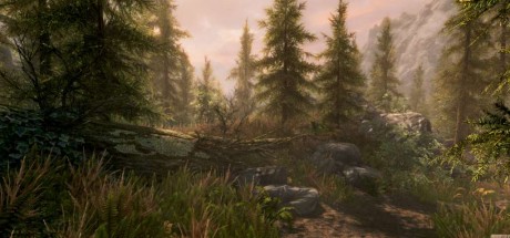 The Elder Scrolls V: Skyrim Special Edition Upgrade DLC PC Steam CD Key