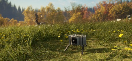 theHunter: Call of the Wild - Ambusher Pack DLC PC Steam CD Key 