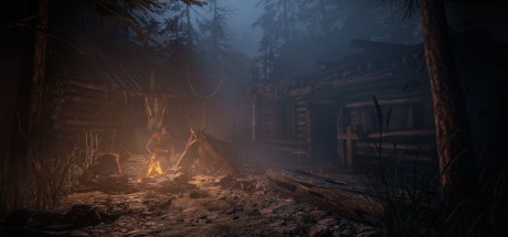 Outlast 2 NA PC Steam CD Key