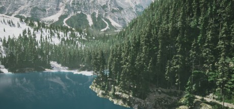 Lushfoil Photography Sim PC Steam CD Key