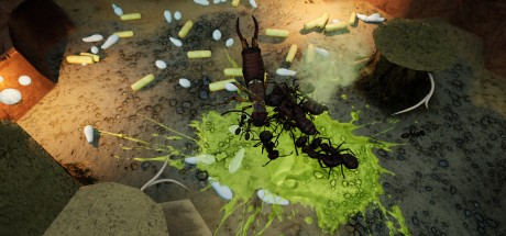 Empires of the Undergrowth - Exploding Ants DLC RoW PC Steam CD Key