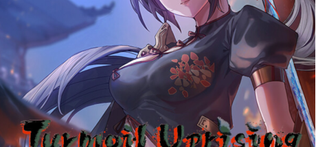 Turmoil Uprising Dynasty PC Steam CD Key