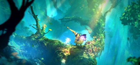 Ori and the Will of the Wisps EU PC Steam CD Key