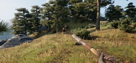 Sengoku Dynasty EU Xbox Series X|S / PC CD Key